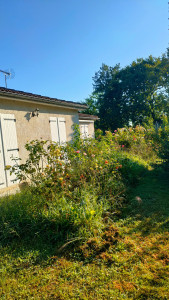 Photo de galerie - Avant débroussaillage