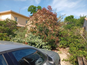 Photo de galerie - Avant 