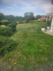 Photo de galerie - Jardinage 