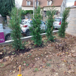 Photo de galerie - Paysagiste - Aménagement du jardin