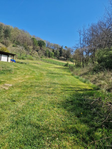 Photo de galerie - Passage tondeuse autoportée 