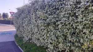 Photo de galerie - Bricolage et multi services