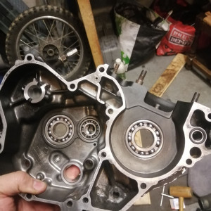 Photo de galerie - Changement de roulements de vilebrequin et d'arbres de boîte,joints spi.