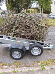 Photo de galerie - Débarras déchets verts