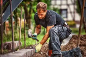 Photo de galerie - Tout travaux de jardinage de BASE... sous votre orientation 