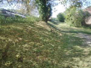 Photo de galerie - Même endroit et même talus débroussaillé, dans les environs de St Pardoux de Drône, 24600