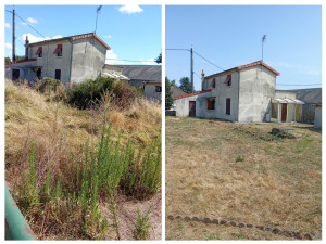 Photo de galerie - Tonte débroussaillage plus enlèvement arbuste 