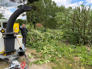 Photo de galerie - Taille de haies et d'arbustes