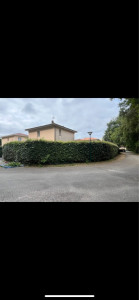 Photo de galerie - Taille de haies