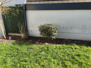 Photo de galerie - Taille d'arbustes 