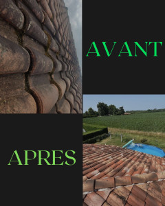 Photo de galerie - Couverture - Toiture