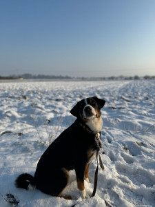 Photo de galerie - Même en hiver ! 