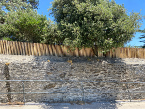Photo de galerie - Pose d’une ganivelle + brande