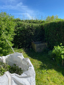 Photo de galerie - Taille haie ……