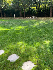 Photo de galerie - Tonte jardin