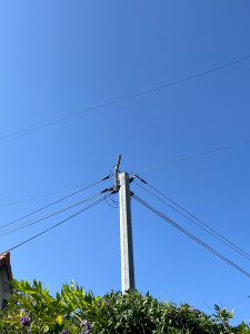 Photo de galerie - Aujourd’hui rendez-vous chez un client pour dégager les fils téléphoniques, j’ai reçu un appel téléphonique vendredi pour venir sur les lieux le lundi même, exactement 1h de travail en contant la pose de l’échelle est le nettoyage après mon passage.