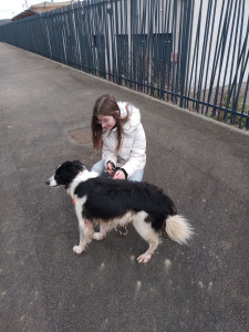 Photo de galerie - J'ai déjà promené des chiens de la SPA