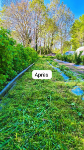 Photo de galerie - Débroussaillage d'un jardin en maraîchage pour un particulier