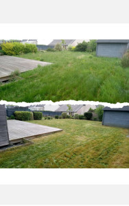 Photo de galerie - Tonte de pelouse - Débroussaillage