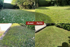 Photo de galerie - Tonte de pelouse débroussaillage 