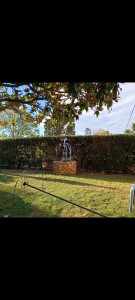 Photo de galerie - Taille de haie 