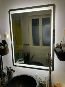 Photo de galerie - Pose de miroir avec éclairage 