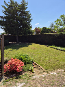 Photo de galerie - Tonte de pelouse et taille des bordures.