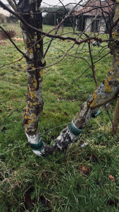 Photo de galerie - Grillage, chaux et colle 