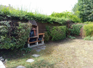 Photo de galerie - Taille de haies et d'arbustes