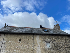 Photo de galerie - Couverture - Toiture