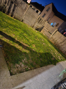 Photo de galerie - Tonte de jardin