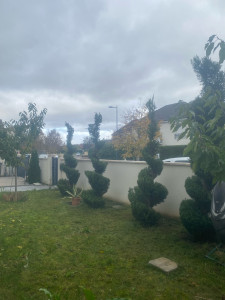 Photo de galerie - Maintenant 