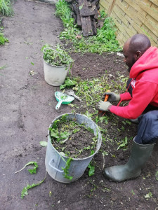 Photo de galerie - Jardinage 