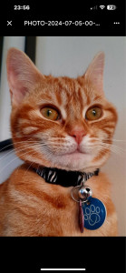 Photo de galerie - Garde animaux