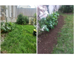 Photo de galerie - Tonte de pelouse et débroussaillage réalisée 