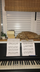 Photo de galerie - Garde chat