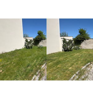 Photo de galerie - Tonte de pelouse