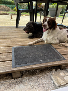 Photo de galerie - Rox et Rouxy mode pause ?????