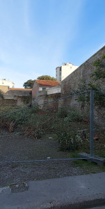 Photo de galerie - Tonte de pelouse - Débroussaillage