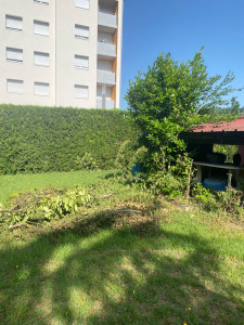 Photo de galerie - Elagage et coupe d'arbres