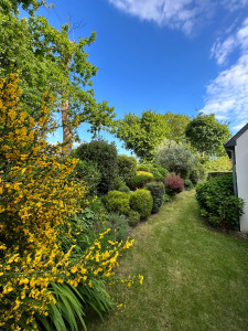 Photo de galerie - Entretien complet du jardin