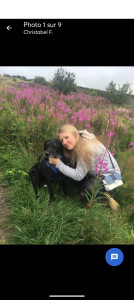 Photo de galerie - Moi et mon chien en Angleterre en balade