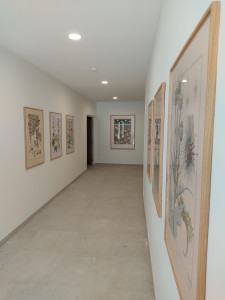 Photo de galerie - Déménageurs et aide au déménagement