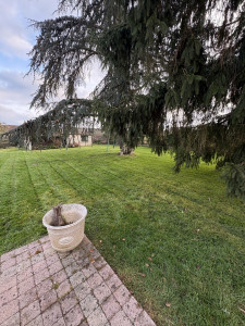 Photo de galerie - Tonte chez un particulier 