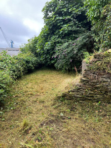 Photo de galerie - Débousaillage