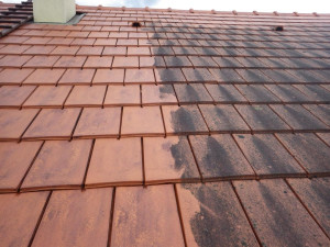 Photo de galerie - Toiture 