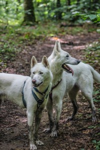 Photo de galerie - Nyx et sa copine