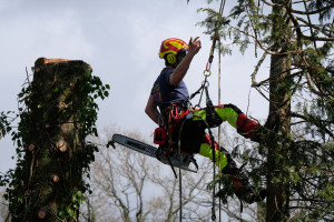 Photo de galerie - Démontage en cours 