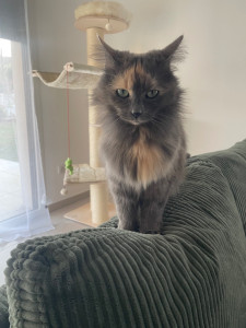 Photo de galerie - J’ai effectué la garde de Nova pendant 3 jours :)