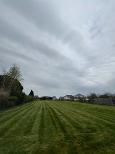 Photo de galerie - Après première tonte
